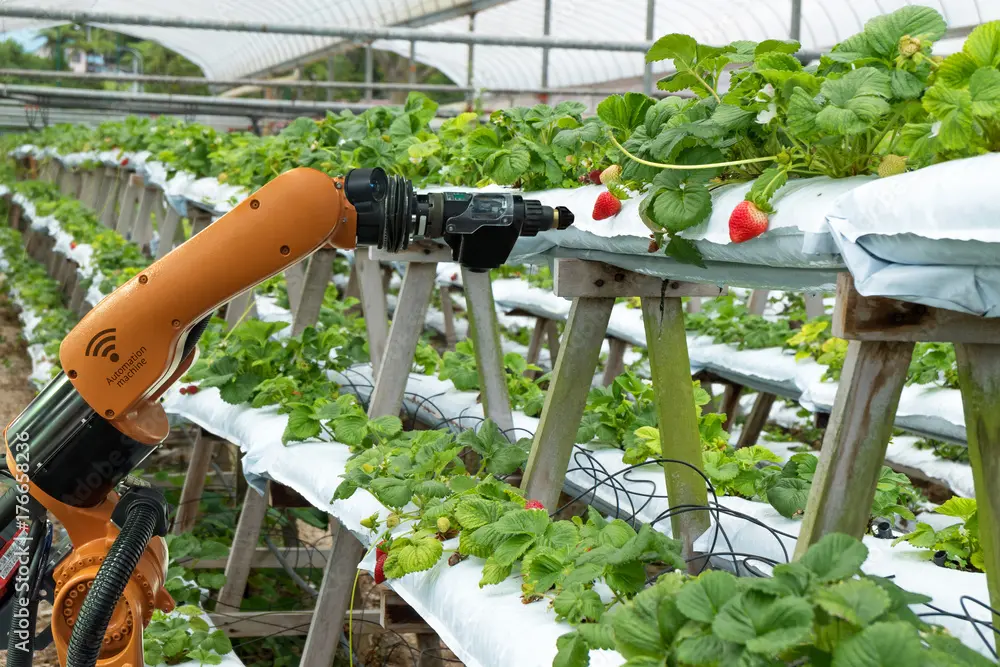 Rivoluzione Verde: Come l'Intelligenza Artificiale Può Ridurre il Consumo Energetico nelle Coltivazioni Indoor